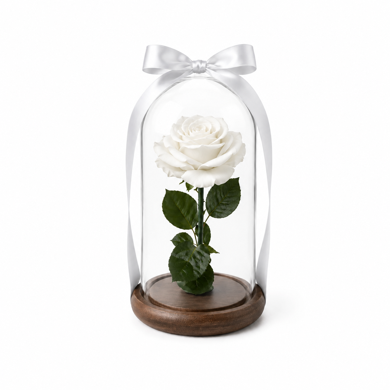 Eternal rose domes