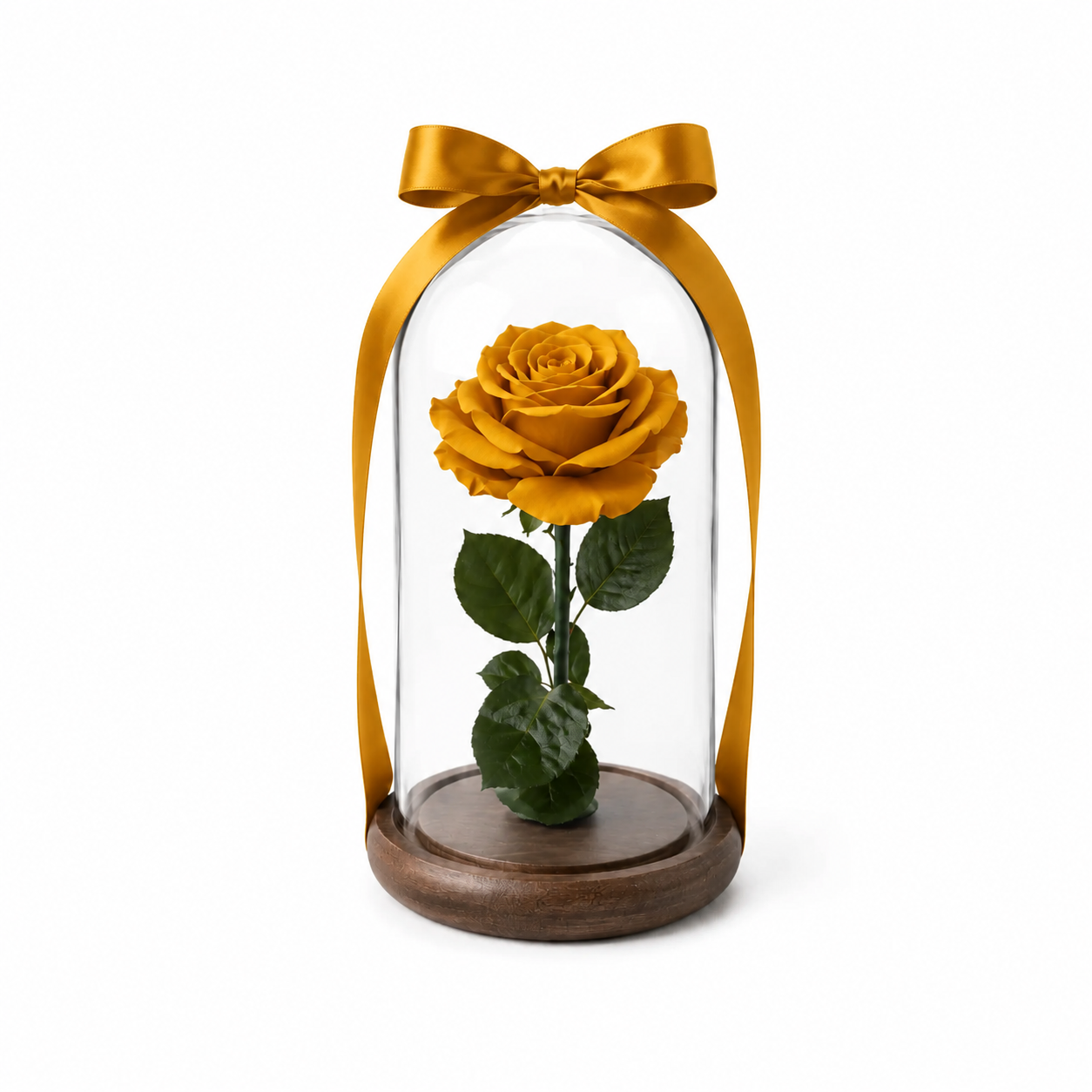 Eternal rose domes