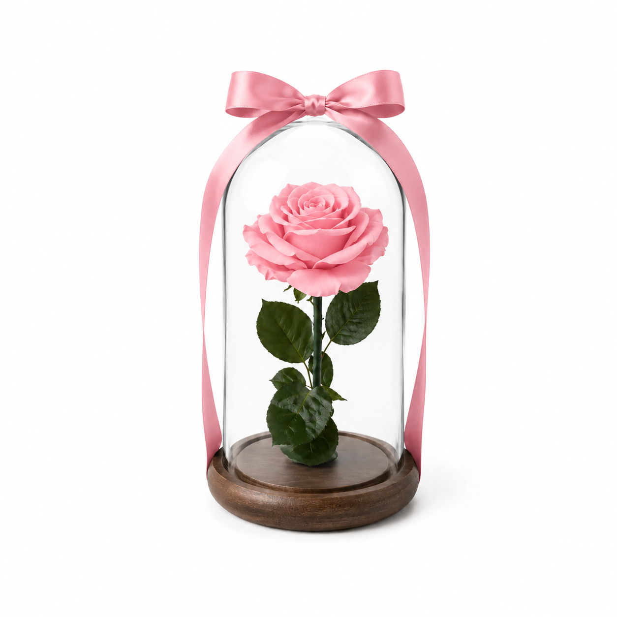 Eternal rose domes
