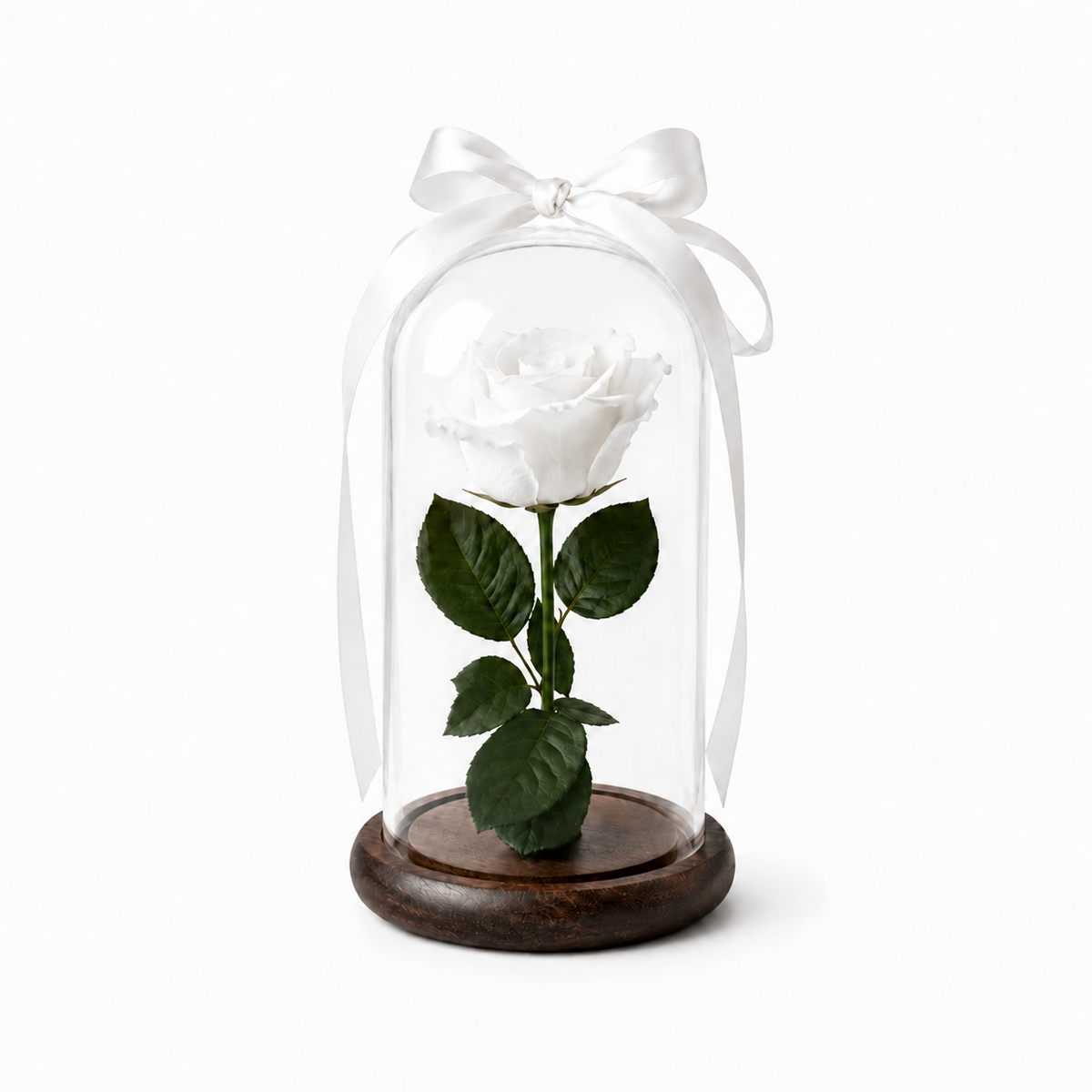 Eternal rose domes